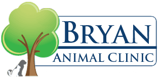 Bryan Animal Clinic | Your Veterinarian in Decatur, AL